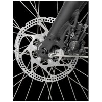 Johnny Loco Twin Cruiser ( incl. 500W accu ) Dutch Delight 2022 | Jansen  2wielers