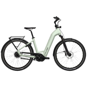 Flyer Gotour 5.43 | C | Intuvia100 | 750Wh Frosty Dames 2025
