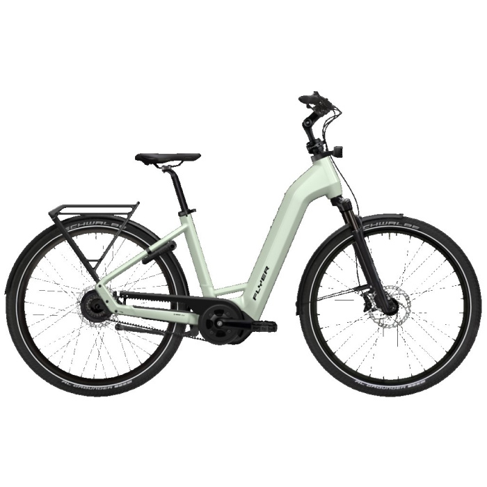 Flyer Gotour 5.43 | C | Intuvia100 | 750Wh Frosty Dames 2025