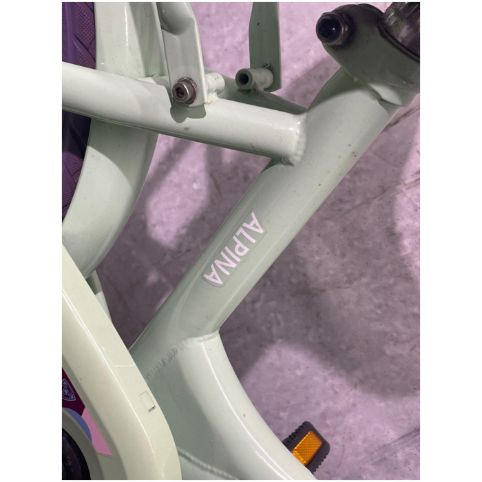 Alpina Clubb 16 inch Mint Groen Meisjes - Afbeelding 2