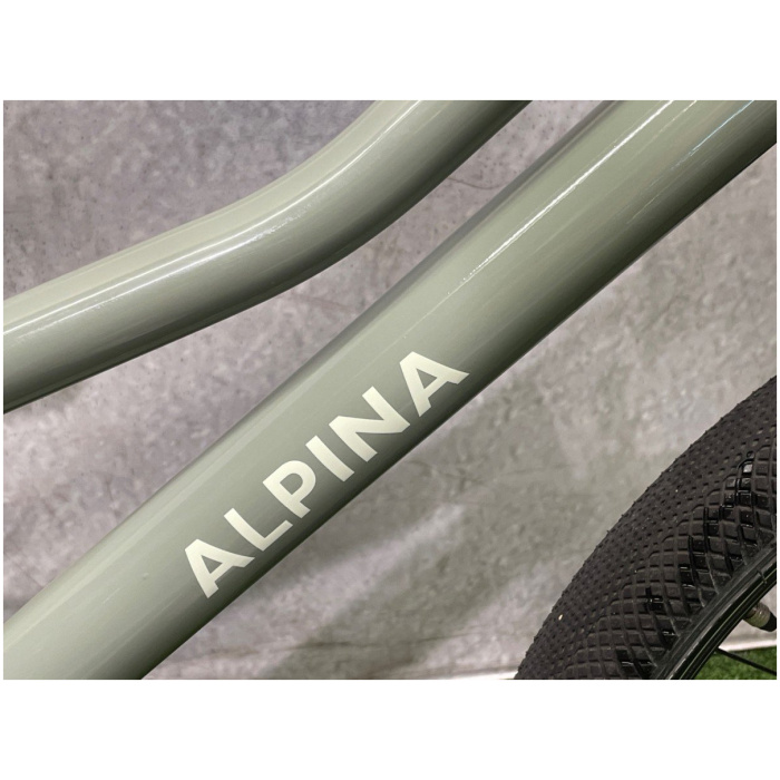 Alpina Zoof 20 inch Grey Green Gloss Jongens 2024 - Afbeelding 2