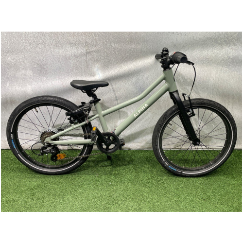 Alpina Zoof 20 inch Grey Green Gloss Jongens 2024