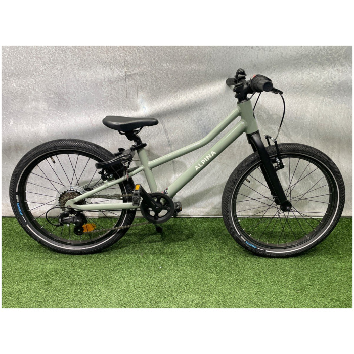 Alpina Zoof 20 inch Grey Green Gloss Jongens 2024