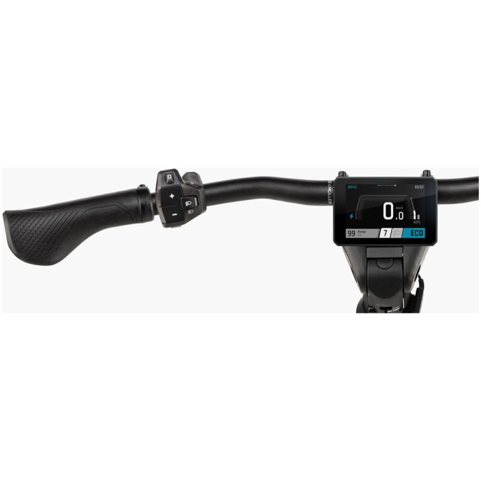 Riese & Muller Homage5 GT Pinion | S | 800Wh | Testfiets Warm Silver Dames 2025 - Afbeelding 3