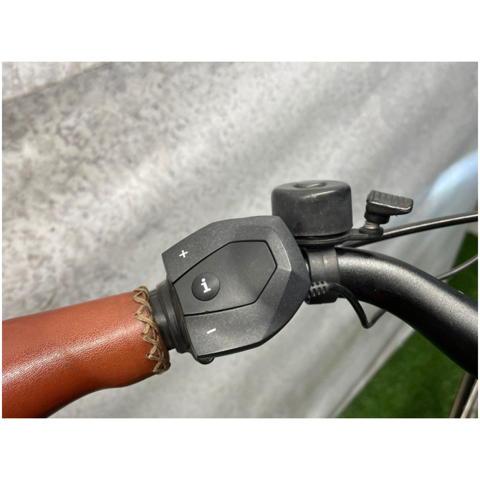 Riese & Muller Cruiser 500Wh Black Heren - Afbeelding 3