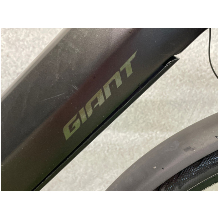 Giant DailyTour E+ (incl. 500Wh accu) BTW Panther Heren 2022 - Afbeelding 3