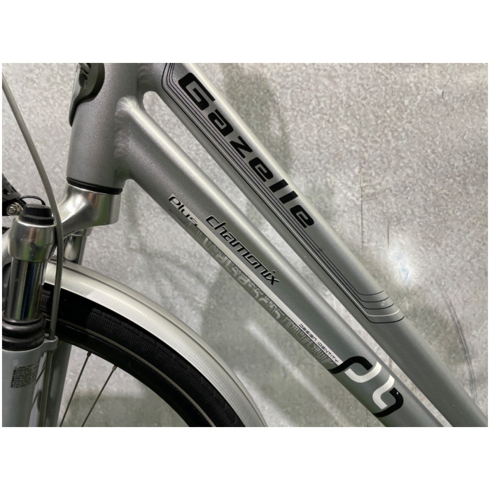 Gazelle Chamonix Zilver Dames - Afbeelding 4