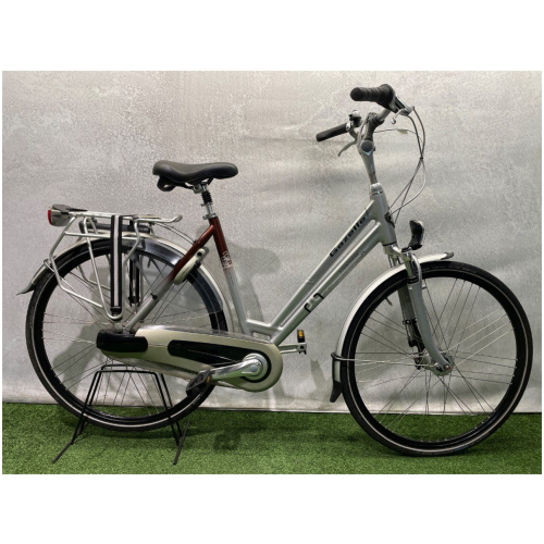 Gazelle Chamonix Zilver Dames
