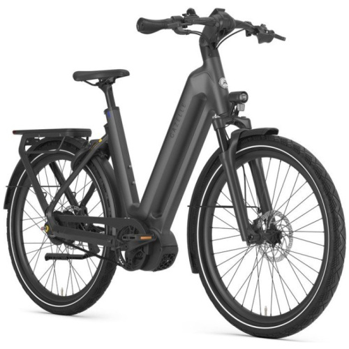 Gazelle Eclipse C380 Anthracite Grey Mat Dames 2025