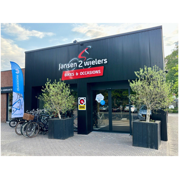 Giant Entour E+ Metallic Antracite Dames 2019 - Afbeelding 4