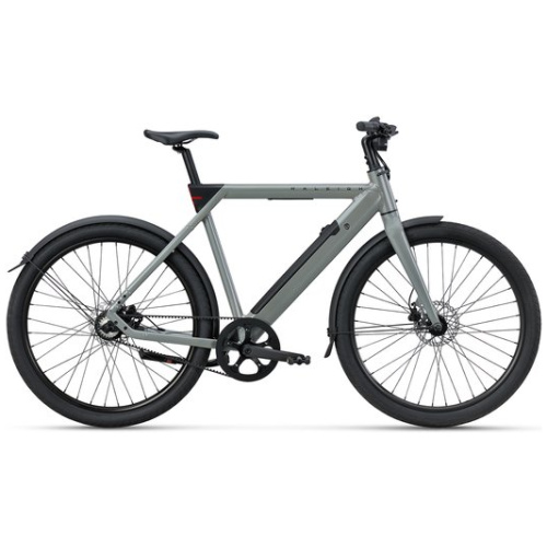 Raleigh ONE SAGE GREY Heren 2025
