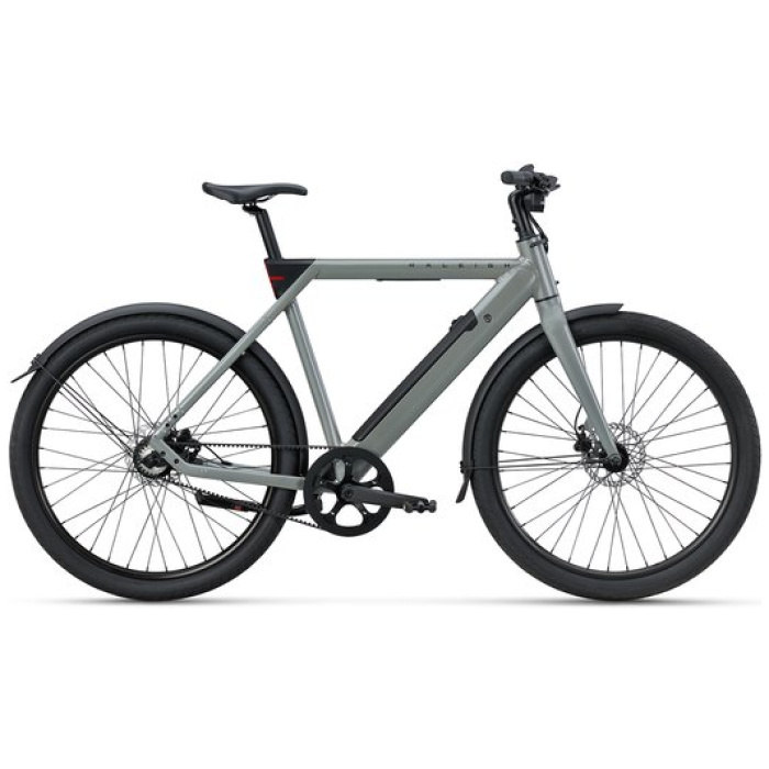 Raleigh ONE SAGE GREY Heren 2025
