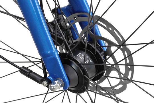 Batavus Dinsdag Exclusive Blauw Dames 2025