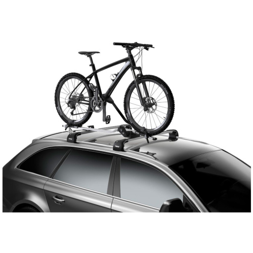 Thule Fietshouder 598 Pro Ride 22-80/100mm Silber/zwart