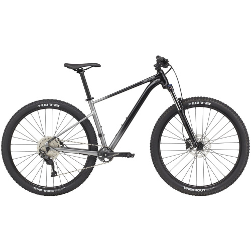 Cannondale Trail Grey Heren 2022