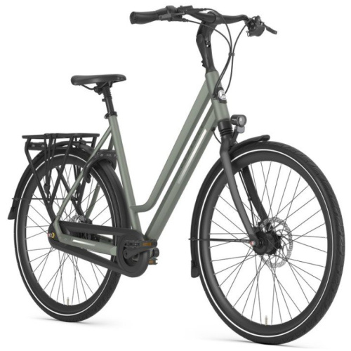 Gazelle Chamonix C8 Clay Green Mat Dames 2024