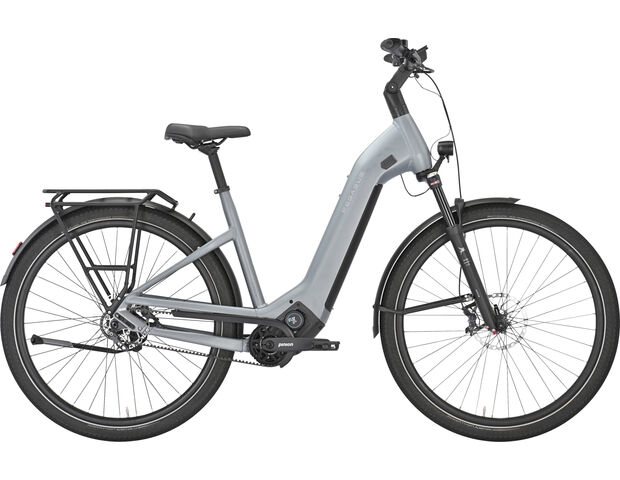 Pegasus ESTREMO EVO 12 Lite Holographic Grey Matte Lage instap 2025