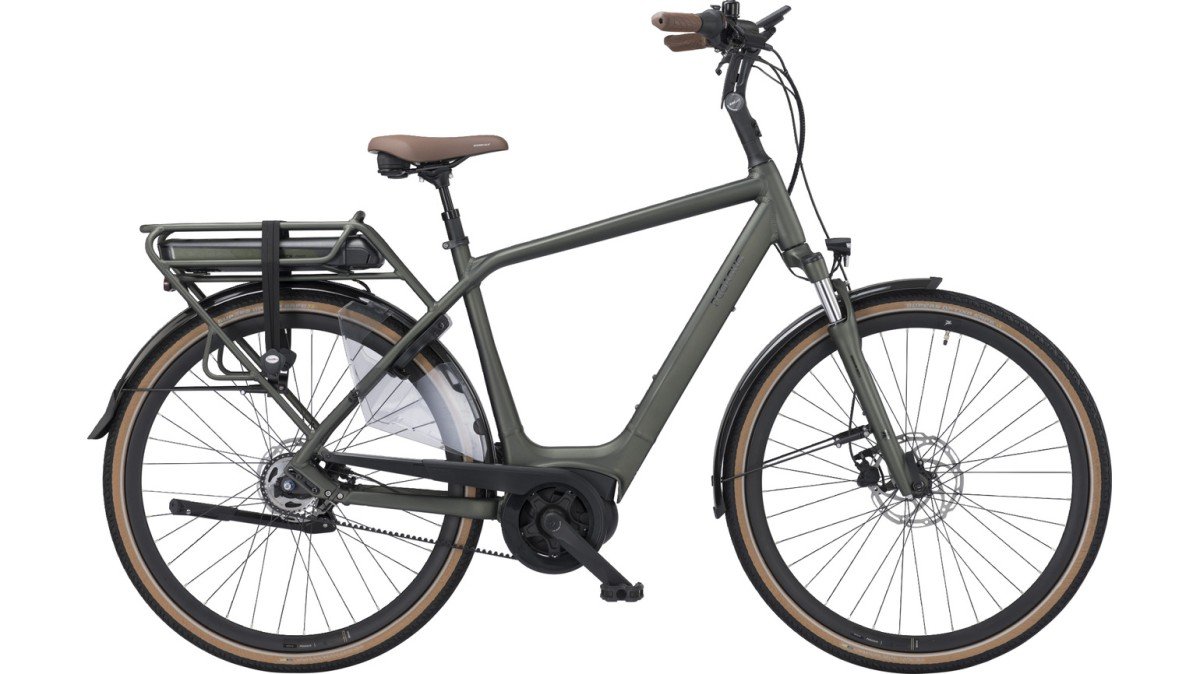 Pegasus SIENA E5F BELT (NL) Emerald-green Heren 2024