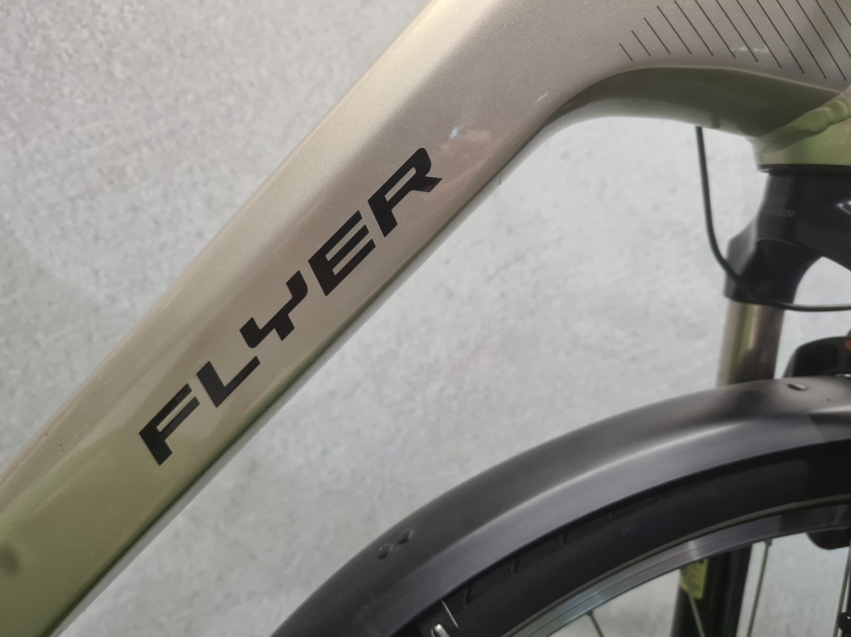 Flyer Gotour 5 7.20 D1 | Automatisch schakelsysteem Champagne Lage instap 2019 - Afbeelding 3