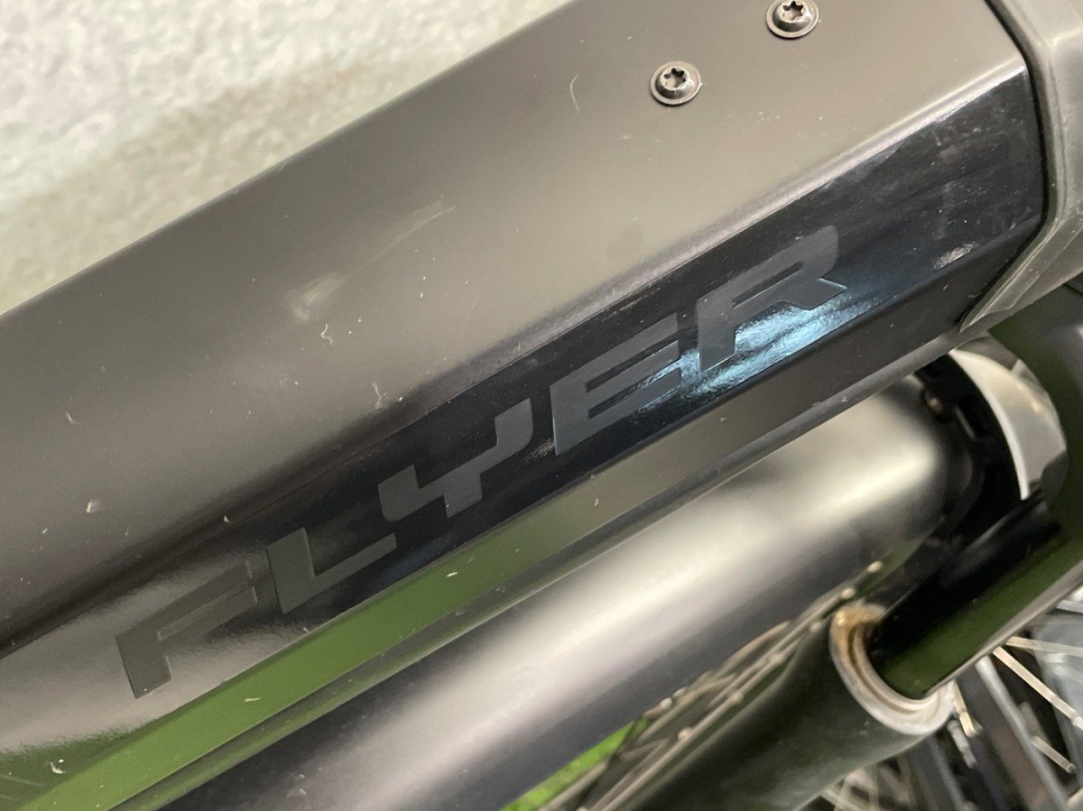 Flyer GoTour 6 500Wh. Zwart Dames 2020 - Afbeelding 3