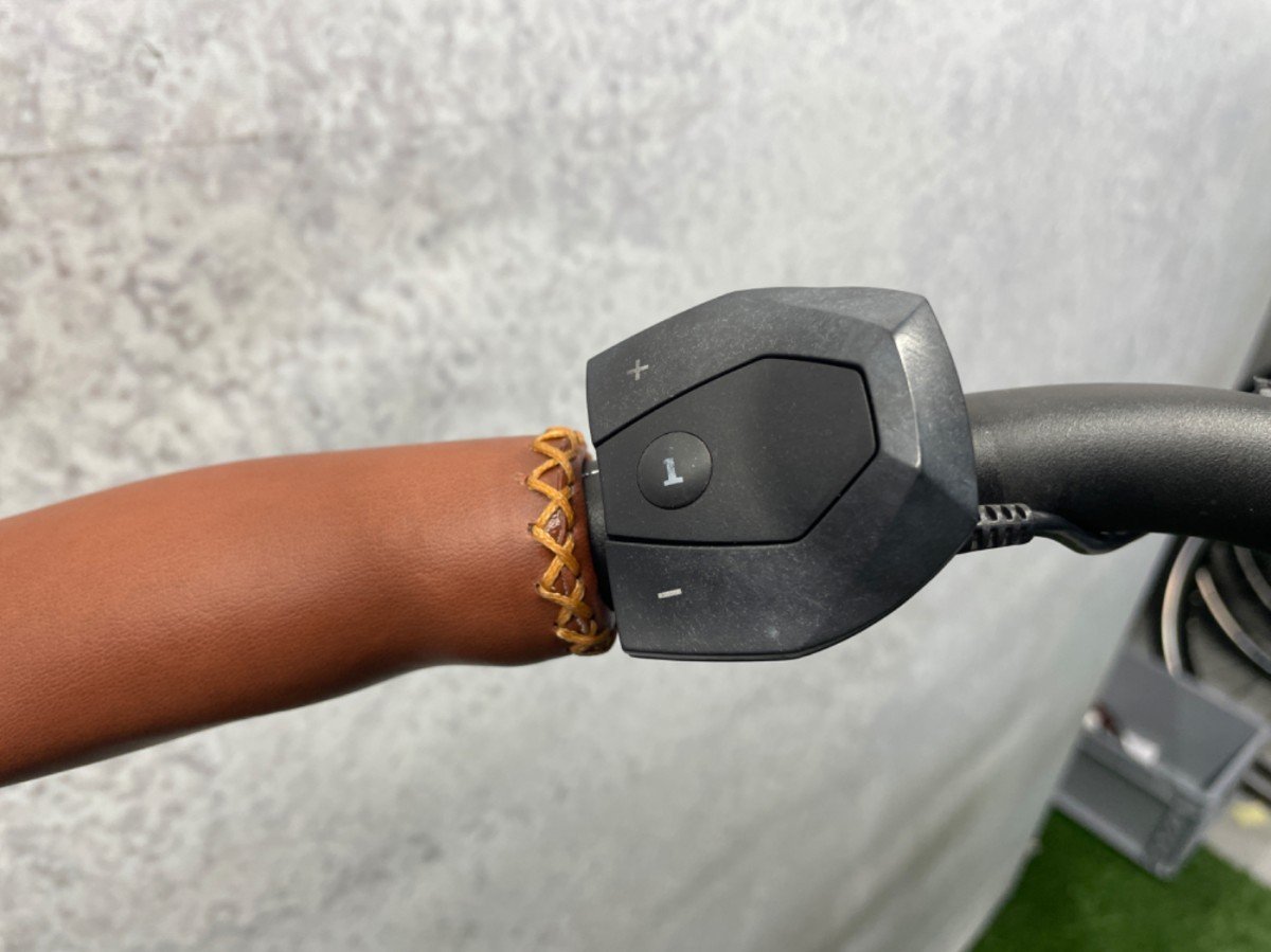 Riese & Muller Cruiser Vario 500Wh Zwart Heren 2018 - Afbeelding 5