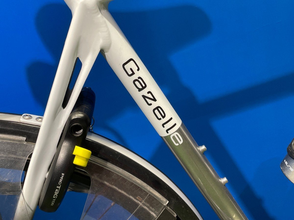 Gazelle Allure Limited Edition 8x3 Zilver Heren - Afbeelding 3