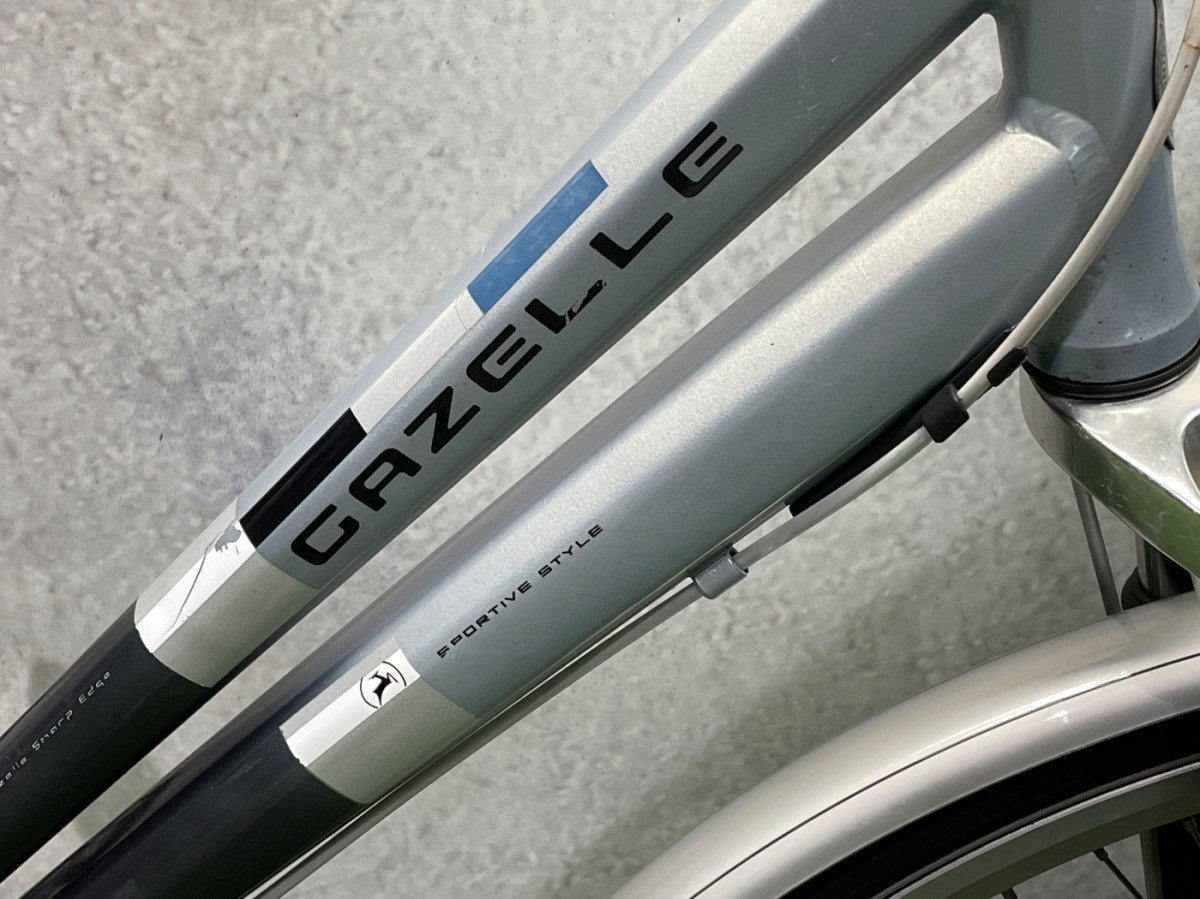 Gazelle Chamonix - AFLEVERKLAAR!- Zilver Dames 2017 - Afbeelding 3