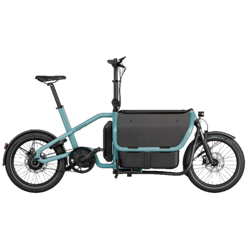 Riese & Muller Carrie vario | Intuvia 100 | 545WH Aqua 2025