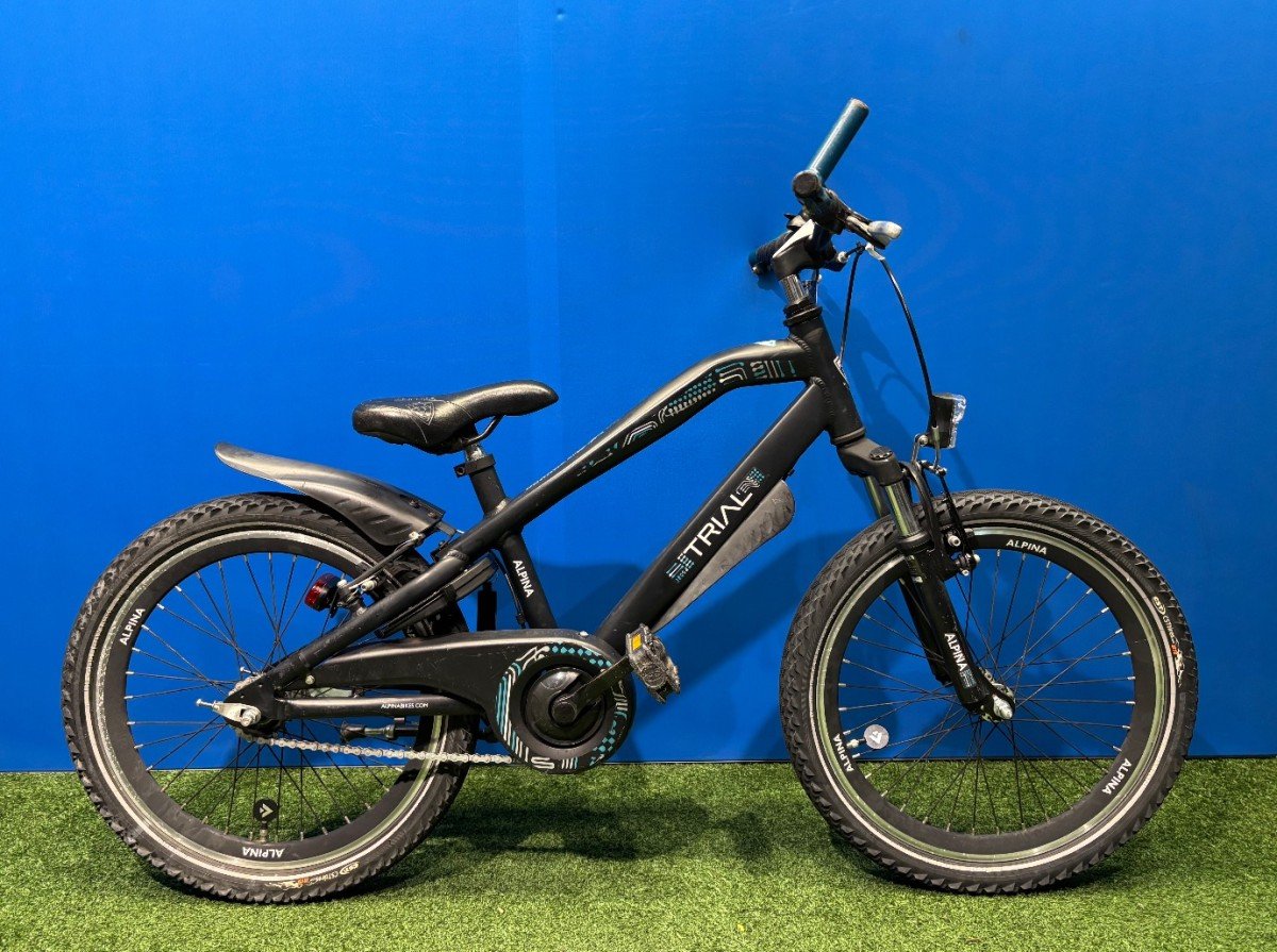 Alpina Trial 20" Zwart Jongens