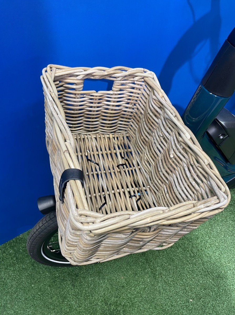 Gazelle Easyflow C7 | 400Wh Pine Green Glans Dames 2025