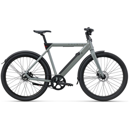 Raleigh ONE Sage Grey 2025