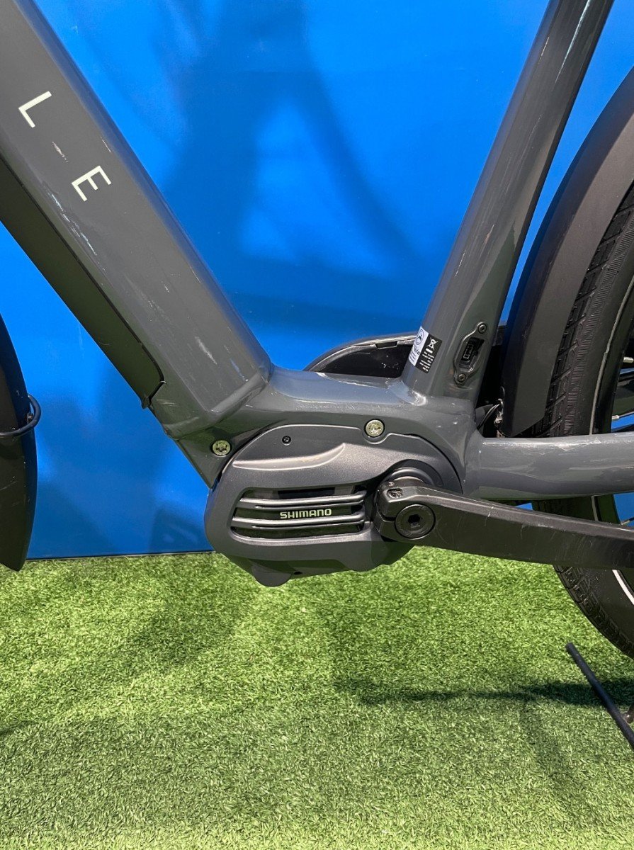 Gazelle Chamonix C7 HMS Dust Glans Heren 2024 - Afbeelding 5