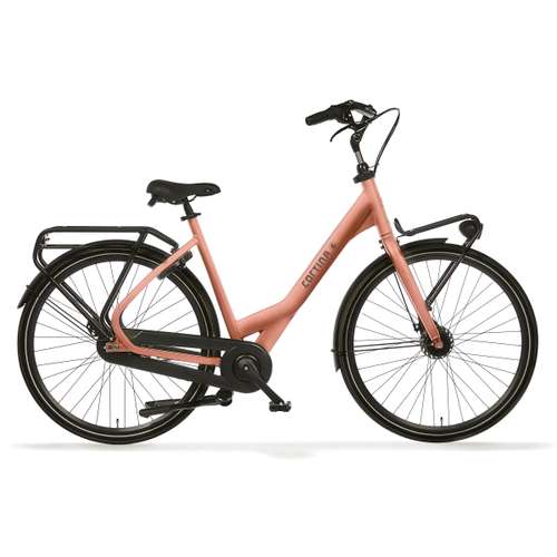 Cortina Common Metallic Peach 2025