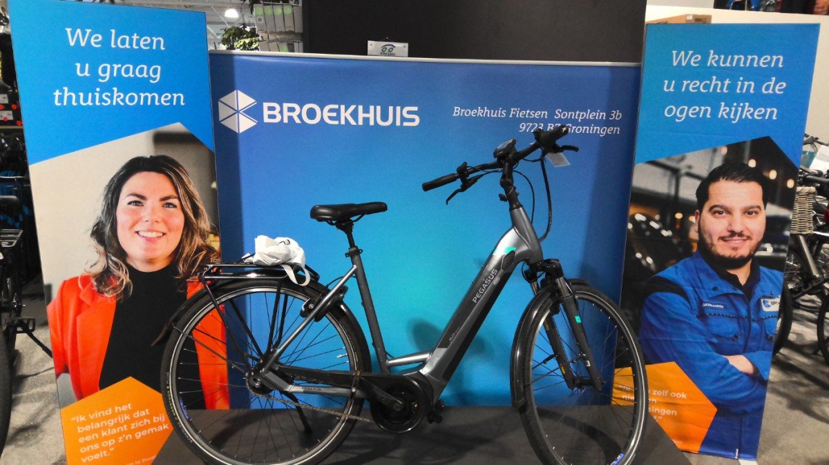Pegasus Premio Evo 5f 400wh 55 Cm Elektrisch Grijs 2020